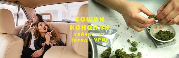 гидра Белокуриха