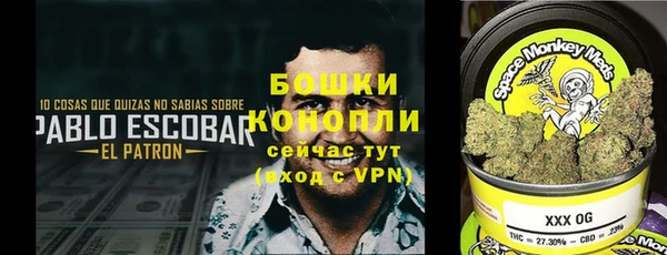 гидра Белокуриха