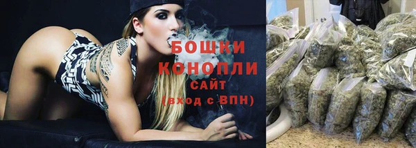 гидра Белокуриха
