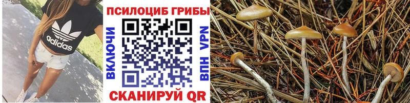 Псилоцибиновые грибы прущие грибы  Кукмор 