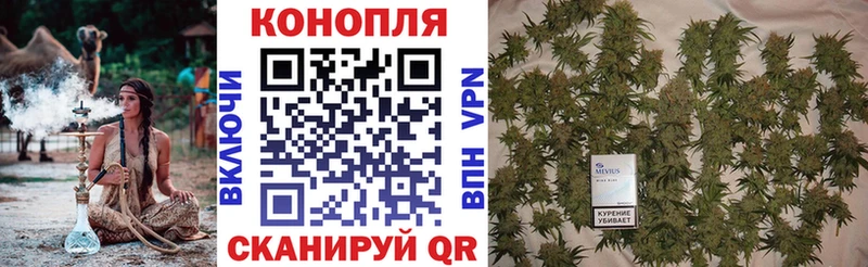как найти   Кукмор  Бошки Шишки ГИДРОПОН 